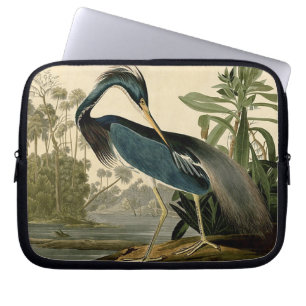 Housse Pour Ordinateur Portable Audubon Louisiana Heron