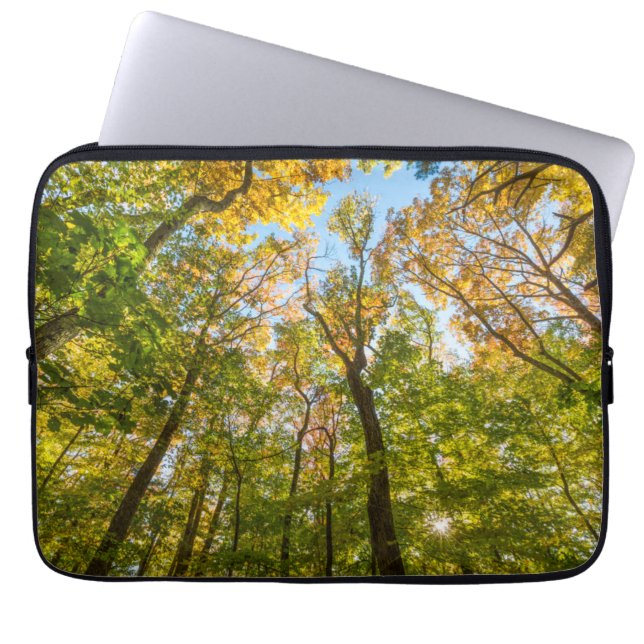 Housse Pour Ordinateur Portable Automne dans une forêt à Amesbury, Massachusetts (Devant)