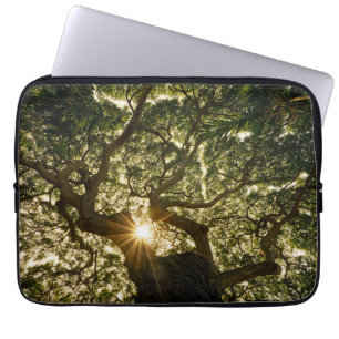 Housse Pour Ordinateur Portable Auvent Sunstar de banian