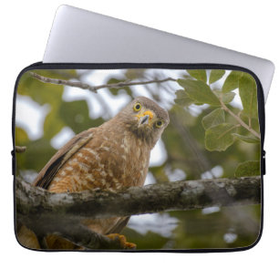 Housse Pour Ordinateur Portable Avian Photography, Roadside Hawk