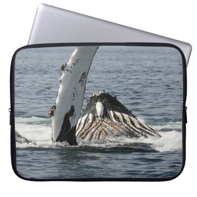 Housse Pour Ordinateur Portable Baleine à bosse (Devant)