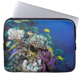 Housse Pour Ordinateur Portable Banc de rougets autour d'un petit corail