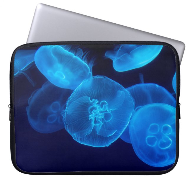 HOUSSE POUR ORDINATEUR PORTABLE BEAU JELLYFISH (Devant)