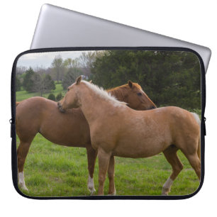 Housse Pour Ordinateur Portable Beautés de bain