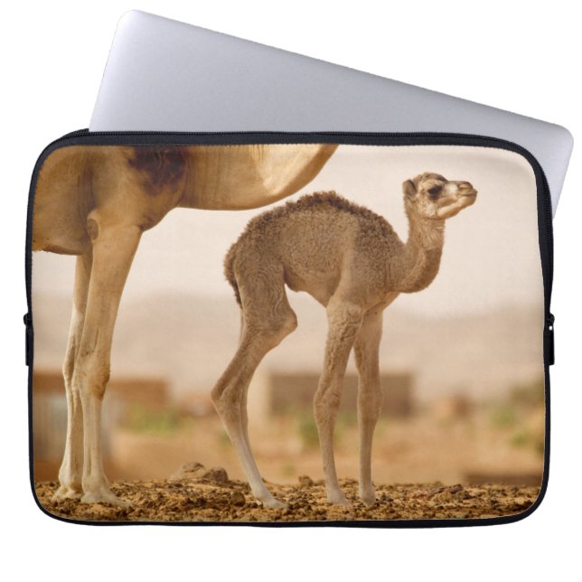 Housse Pour Ordinateur Portable Bébé Camel (Devant)