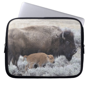 Housse Pour Ordinateur Portable Bison vache et veau, Yellowstone