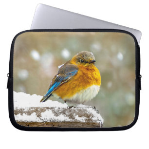 Housse Pour Ordinateur Portable Bleuet de l'Est en neige - Photo originale