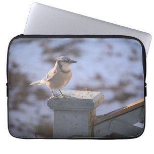 Housse Pour Ordinateur Portable Blue Jay