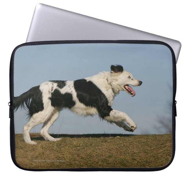 Housse Pour Ordinateur Portable Border collie courant 2 (Devant)