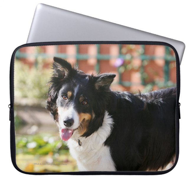 Housse Pour Ordinateur Portable Border collie haletant 1 (Devant)