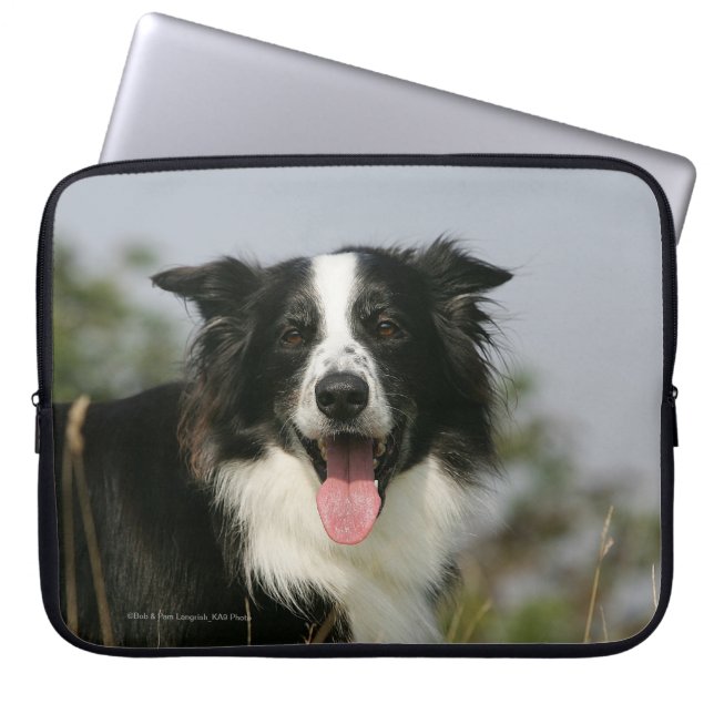 Housse Pour Ordinateur Portable Border collie haletant le Headshot 1 (Devant)