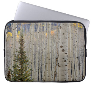 Housse Pour Ordinateur Portable Bosquets d'aspens d'automne Montagnes Rocheuses
