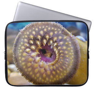 Housse Pour Ordinateur Portable Bouche de lamproie marine