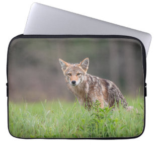 Housse Pour Ordinateur Portable Brown Coyote, Canadian Wildlife Photography