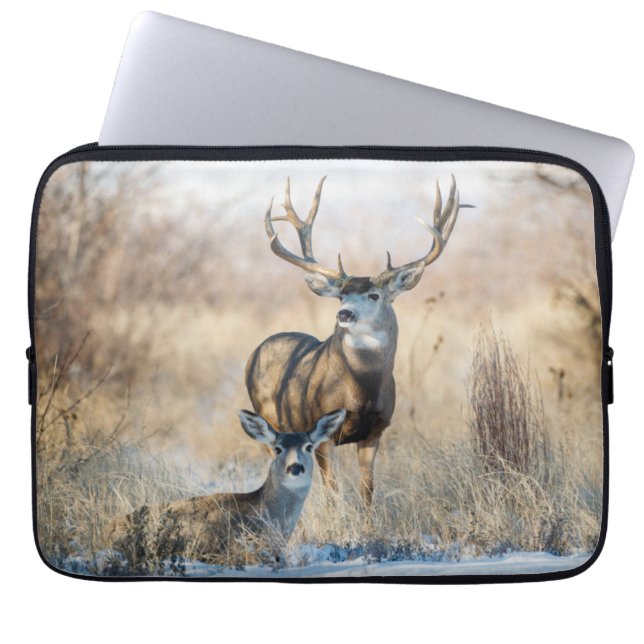 Housse Pour Ordinateur Portable Buck Couple | Mule Deer (Devant)