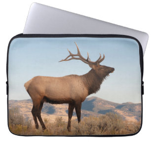 Housse Pour Ordinateur Portable Bull Elk près de Mammoth   Wyoming