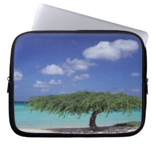 Housse Pour Ordinateur Portable Caraïbes, Aruba. Plage Eagle