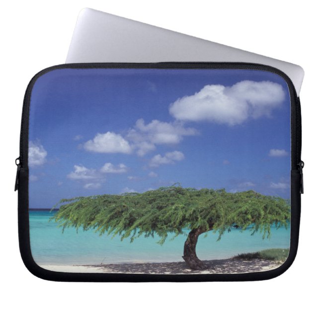 Housse Pour Ordinateur Portable Caraïbes, Aruba. Plage Eagle (Devant)