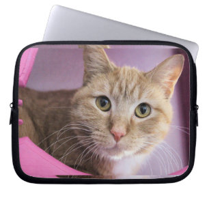 Housse Pour Ordinateur Portable Cat