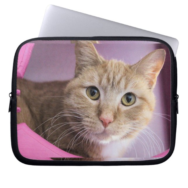 Housse Pour Ordinateur Portable Cat (Devant)
