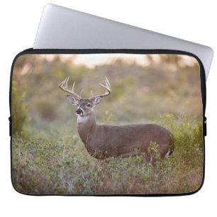 Housse Pour Ordinateur Portable Cerf à queue blanche Automne au Texas