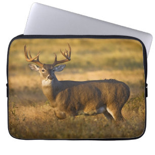 Housse Pour Ordinateur Portable Cerf à queue blanche Sud du Texas