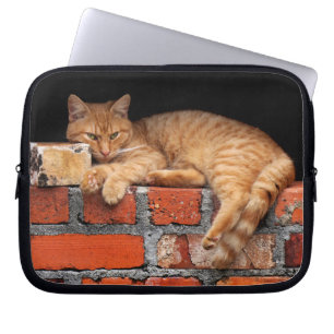 Housse Pour Ordinateur Portable Chat sur mur de brique