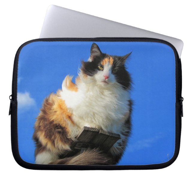 Housse Pour Ordinateur Portable Chat Windy Calico haut (Devant)