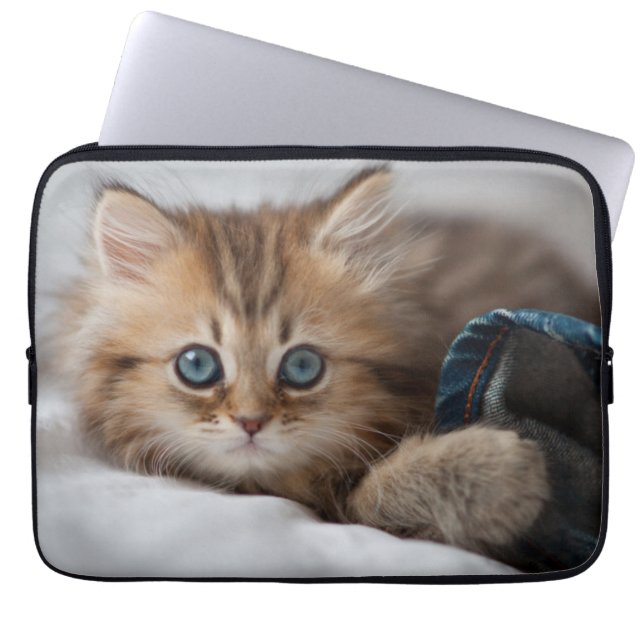 Housse Pour Ordinateur Portable Chaton avec des yeux bleus (Devant)