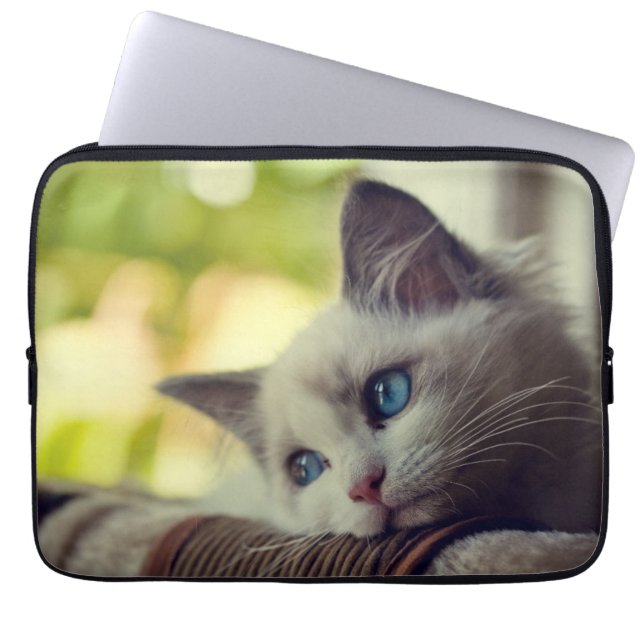 Housse Pour Ordinateur Portable Chaton de Ragdoll (Devant)