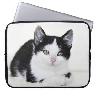 Housse Pour Ordinateur Portable Chaton noir et blanc