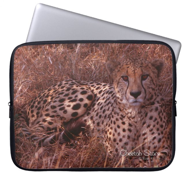 Housse Pour Ordinateur Portable Cheetah Stare (Devant)