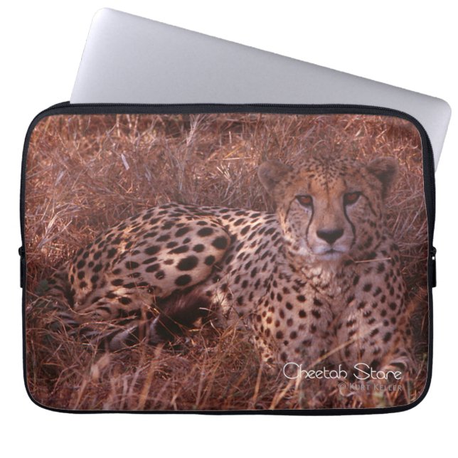 Housse Pour Ordinateur Portable Cheetah Stare (Devant)