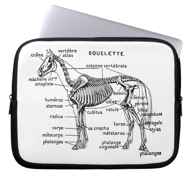 Housse Pour Ordinateur Portable Cheval (Devant)