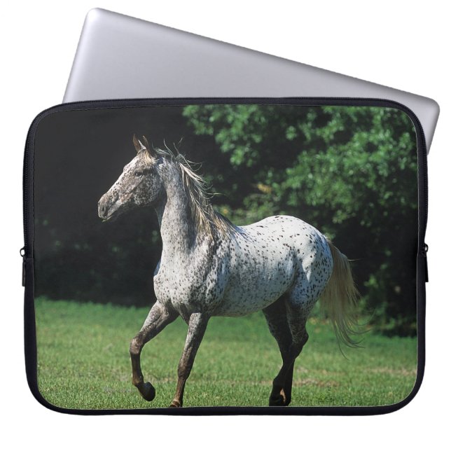 Housse Pour Ordinateur Portable Cheval d'Appaloosa courant 2 (Devant)