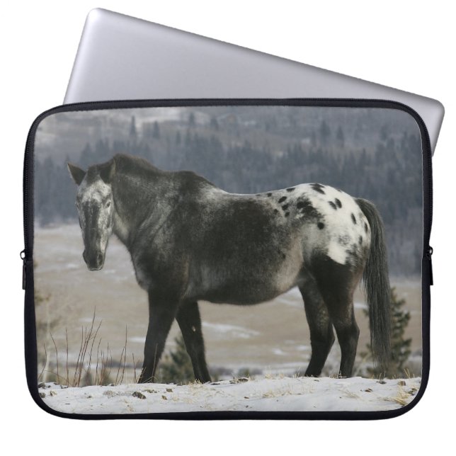 Housse Pour Ordinateur Portable Cheval d'Appaloosa dans la neige (Devant)