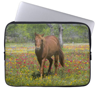 Housse Pour Ordinateur Portable Cheval Quarter Horse dans un champ de fleurs sauva