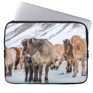 Housse Pour Ordinateur Portable Chevaux islandais en pâture hivernale près de Hofn