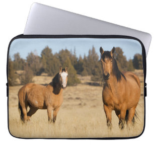 Housse Pour Ordinateur Portable Chevaux sauvages, montagnes de Steens