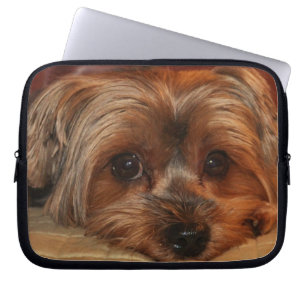 Housse Pour Ordinateur Portable Chien Chien Chien Chien Chien Chien Chien Chien Ch