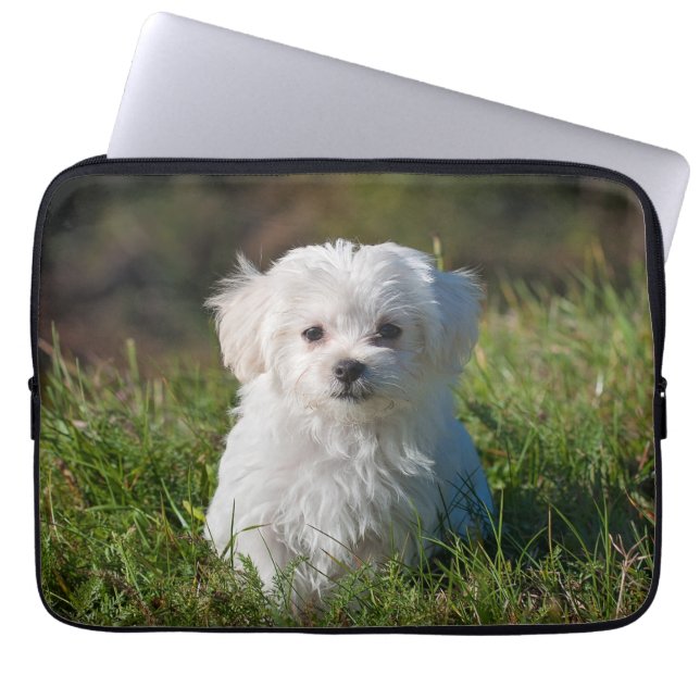 Housse Pour Ordinateur Portable Chien chiot maltais blanc mou (Devant)