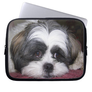 Housse Pour Ordinateur Portable Chien de Shih Tzu