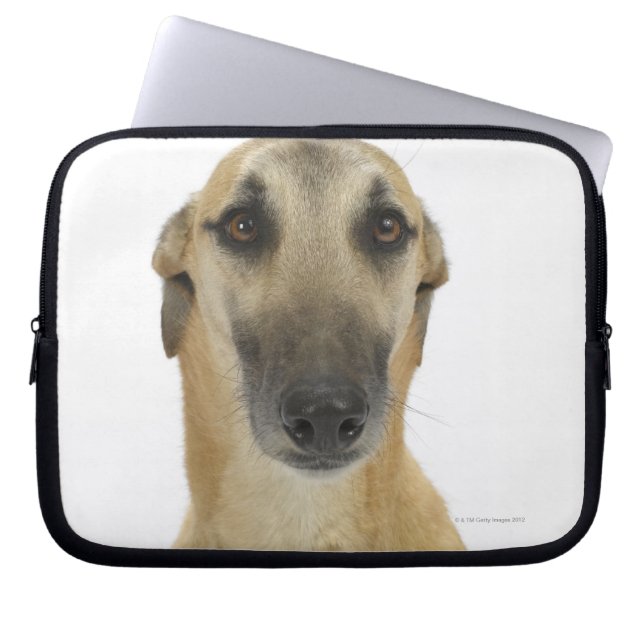 Housse Pour Ordinateur Portable Chien sur blanc 41 (Devant)