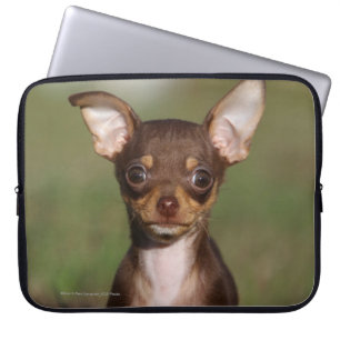 Housse Pour Ordinateur Portable Chiot de chiwawa regardant l'appareil-photo