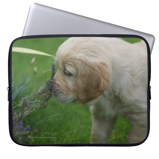 Housse Pour Ordinateur Portable Chiot de golden retriever (Devant)