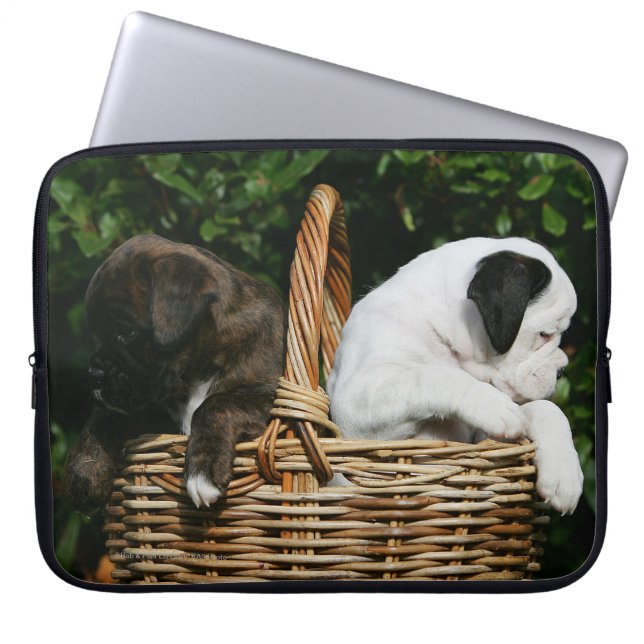 Housse Pour Ordinateur Portable Chiots de boxeur dans le panier (Devant)