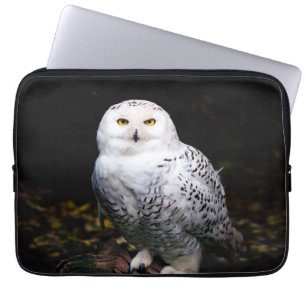 Housse Pour Ordinateur Portable Chouette hivernale majestueuse
