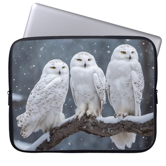 Housse Pour Ordinateur Portable Chouette Neige Sur Branche Arbre (Devant)