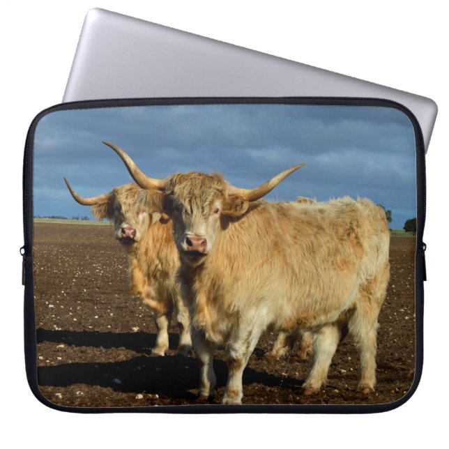 Housse Pour Ordinateur Portable Chouettes des Highlands, (Devant)