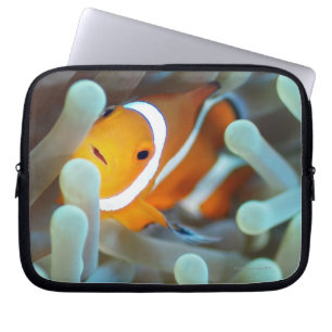 Housse Pour Ordinateur Portable Clown Anemonefish
